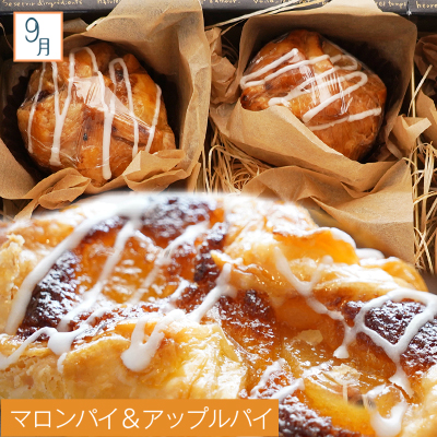 菓子職人が贈る　季節のスイーツ定期便　～４回お届け～