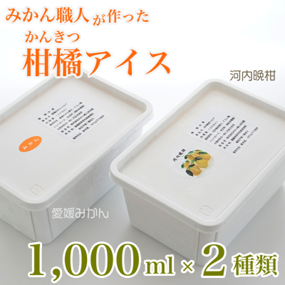 みかん職人が作った柑橘アイス1000ml×2種（愛媛みかん・河内晩柑）