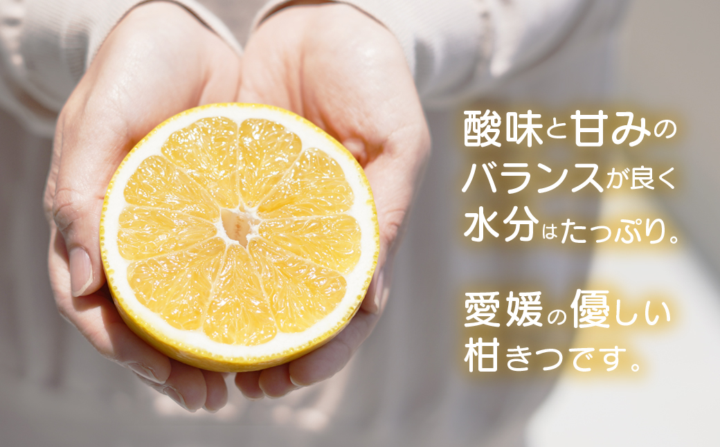 フルーツアイランド・マルエム直販の愛南産の河内晩柑10kg