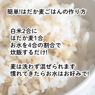 はだか麦 900g 5個セット 10000円 国産 大麦 麦 麦ごはん むぎごはん 水溶性 食物繊維 腸内環境 ダイエット 健康 マルヤス味噌 愛南町 愛媛県