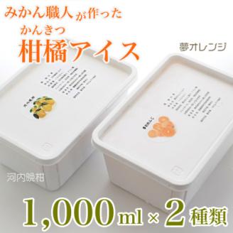 みかん職人が作った柑橘アイス1000ml×2種（夢オレンジ・河内晩柑）