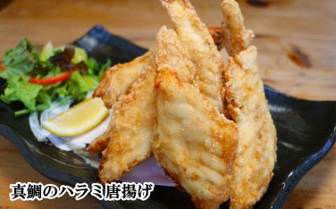 愛南 真鯛づくし 4種セット 冷凍 小分け パック 真鯛 マダイ しゃぶしゃぶ 鯛しゃぶ 刺身 さしみ お造り 唐揚げ からあげ カマ 塩焼き 鯛 タイ 鯛めし お食い初め 愛南サン・フィッシュ