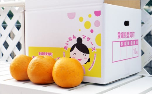 訳あり 紅 河内晩柑 大玉 （ 2L - 5L ） 10kg 7000円