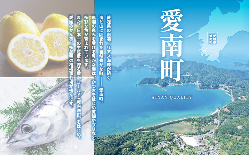 【 代官山 魚介熟成 フレンチ 】 サンプリシテ 「 愛南町 ディナー コース 」 食事券 1名様分 ※2名以上で利用可  【食事券】 東京 ディナーコース 1名