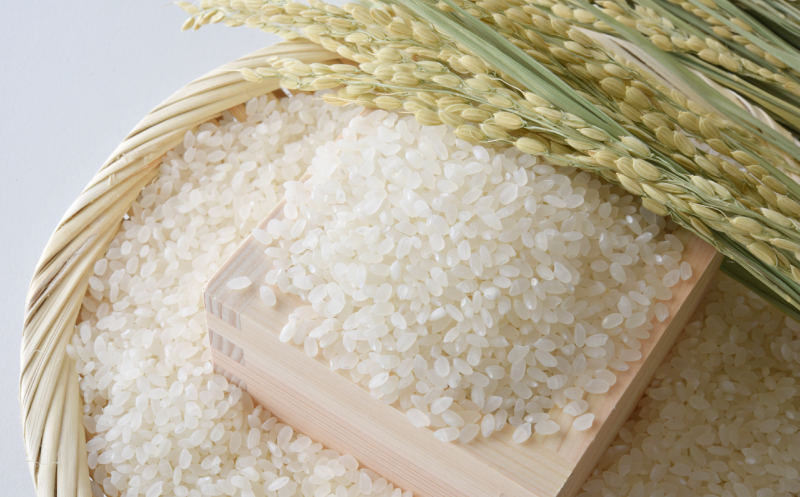 先行予約 新米 令和7年産 コシヒカリ 10kg 25000円 お米 白米 精米 米 こめ 産地直送 国産 農家直送 期間限定 数量限定 特産品 先行 事前 受付 令和7年度産 2025年産 もっちり 粘り 甘み おいしい おにぎり こしひかり 内祝い お祝い 贈答品 お返し プレゼント ギフト 土産 御礼 お礼 お取り寄せ えひめ南農業協同組合 愛南町 愛媛県 10kg