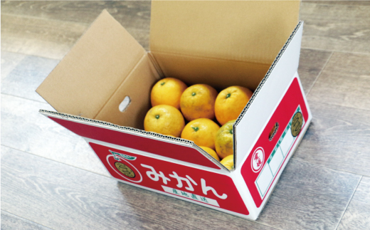 訳あり 河内晩柑 3.5kg 5000円 フルーツ 柑橘 蜜柑 規格外 愛南町 マルハラファーム