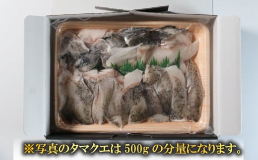 クエ鍋セット 500g タマクエ 切り身 ＋ アラ 合計 500g 2~3人前 冷凍 クエ 高級 幻 新種 鍋 クエ鍋 アラ鍋 海鮮 刺身 生食 脂 プレミアム 新鮮 白身魚 淡泊 蒸し料理 グリル 規格外 九絵 レモン ギフト 贈り物 プレゼント 愛南サン・フィッシュ