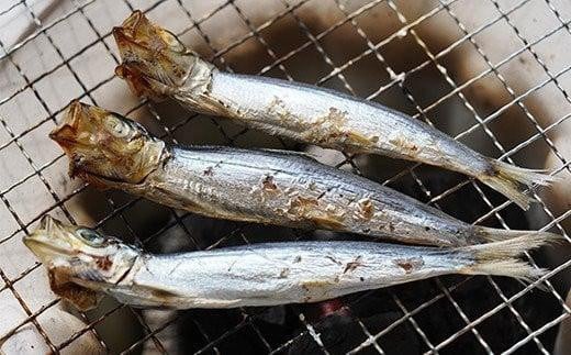 訳あり 魚の 丸干し ＆ 開き おまかせ セット 2.5kg 10000円 魚 海鮮 干物 無添加 ひもの ひらき 詰め合わせ 冷凍 丸干し 鯵 アジ 鯖 さば サバ 鰹 かつお カツオ 鯛 たい タイ 鰯 いわし イワシ 切り身 おつまみ おかず 惣菜 人気 珍味 グルメ 規格外  国産 新鮮 魚介 天然 乾き物 乾物 酒のあて 旬 季節 お中元 お歳暮 母の日 父の日 武久海産 愛南町 愛媛県 干物 ひもの 干物 ひもの 干物 ひもの 干物 ひもの 干物 ひもの