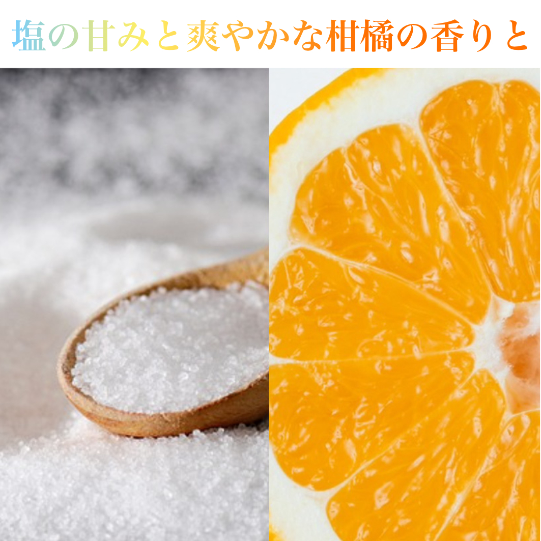 フィナンシェ 塩みかん 10本セット  お菓子 焼き菓子  バレンタイン ホワイトデー 河内晩柑 愛南ゴールド バター入り 10個 スイーツ 詰め合わせ 贈答 プレゼント 贈り物  ギフト 個包装 crelo 愛媛県 愛南町 フィナンシェ フィナンシェ フィナンシェ フィナンシェ