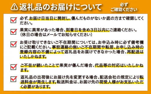 数量限定 先行予約 贈答用 河内晩柑 3kg 7000円 みかん かわちばんかん 愛南ゴールド あいなん ゴールド 夏 文旦 和製 グレープフルーツ 家庭用 産地直送 国産 農家直送 期間限定 ビタミン 健康 おいしい 特産品 ゼリー ジュース アイス 等に 人気 限定 さわやか 甘い フルーツ 果物 柑橘 mikan 蜜柑 ミカン ギフト プレゼント おすそわけ お試し 吉田農園 愛南町 愛媛県