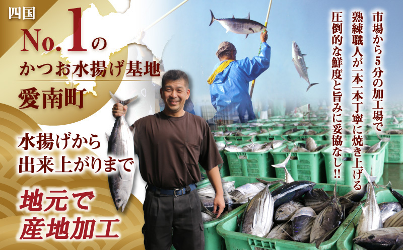 訳あり かつおのたたき 2.2kg 10000円 サイズ 不揃い 規格外 傷 小分け 真空 パック 新鮮 鮮魚 天然 鰹 四国一 水揚げ タタキ 冷凍 大容量 ふるさと納税魚 ふるさと納税人気 ふるさと納税カツオたたき ふるさと納税10000円 ふるさと納税冷凍 刺し身 骨なし たたき カツオ わけあり 訳あり傷 ハマスイ 愛南町 愛媛県 訳あり 2.2kg（4546円/kg）