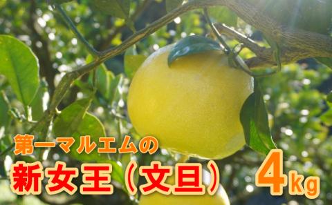 【 数量限定 】 秀品 贈答用 文旦 新女王 4kg （発送期間：2月下旬～3月中旬頃） 7000円 先行 事前 予約 受付 みかん ぶんたん 愛南ゴールド 河内晩柑 かわちばんかん 美生柑 熟成