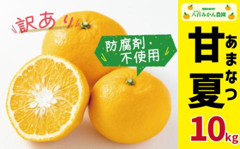 【 先行予約 】 訳あり 完熟 甘夏 10kg <発送期間：4月下旬～無くなり次第終了> 先行 事前 予約 受付 みかん あまなつ 夏みかん グレープフルーツ マーマレード ゼリー 防腐剤不使用