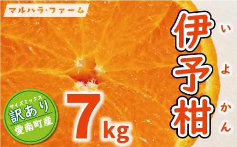訳あり 伊予柑 7kg 7000円 みかん いよかん ブランド 家庭用 産地直送 国産 農家直送 糖度 果樹園 期間限定 数量限定 特産品 ゼリー ジュースフルーツ 果物 柑橘 蜜柑 規格外 特産品