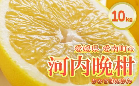 フルーツアイランド・マルエム直販の愛南産の河内晩柑10kg