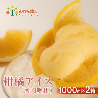 みかん職人が作った柑橘アイス1000ml×2（河内晩柑×２）