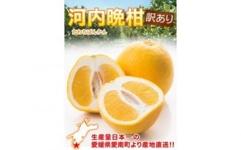 【訳あり】清家ばんかんビレッジの河内晩柑10kg (なくなり次第終了)