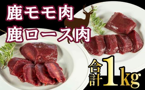 愛南ジビエ 鹿 モモ肉 500g ロース肉 500g セット (ジビエ,鹿,愛南ジビエ,もも肉,ジビエ,鹿,愛南ジビエ,もも肉,ジビエ,鹿,愛南ジビエ,もも肉,ジビエ,鹿,愛南ジビエ,もも肉ジビエ,鹿,愛南ジビエ,もも肉,ジビエ,鹿,愛南ジビエ,もも肉)