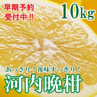 フルーツアイランド･マルエム直販の河内晩柑 約10kg