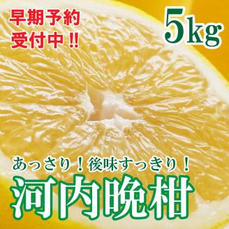 フルーツアイランド･マルエム直販の河内晩柑 約5kg