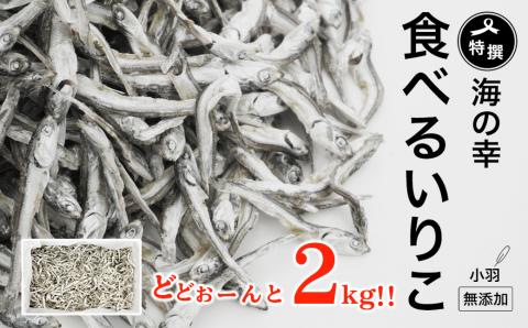 特選海の幸自然の味 小羽 いりこ