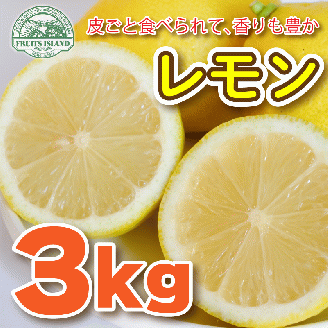 レモン 約 3kg 24個 檸檬 フルーツ 果物 くだもの 柑橘 国産 新鮮 減農薬 ノンワックス 防腐剤 不使用 ビタミンC 美容 美肌 健康 皮ごと 牡蠣 かき 魚 さかな 肉 にく スイーツ パスタ みかん 蜜柑  愛媛県 愛南町
