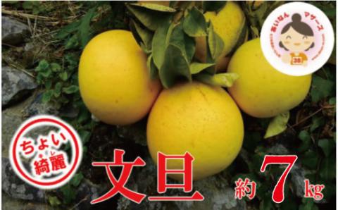 【 先行予約 】 ちょいキレ 家庭用 あいなんマザーズ の 文旦 7kg