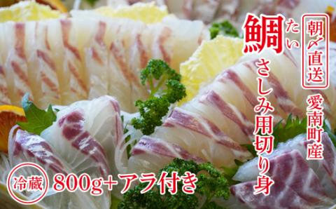朝〆 直送！愛南町産 鯛 さしみ 用 切り身 （800g＋アラ付き） 真鯛 まだい 鯛 カマ 刺身 直送 新鮮 アラ 冷蔵 鯛飯 鯛しゃぶ 鯛めし 国産 お正月 真空 パック お祝い めでたい 愛媛県（真鯛真鯛真鯛真鯛真鯛真鯛真鯛真鯛真鯛真鯛真鯛真鯛真鯛真鯛真鯛真鯛真鯛真鯛真鯛真鯛真鯛真鯛真鯛真鯛真鯛真鯛真鯛真鯛真鯛真鯛真鯛真鯛真鯛真鯛真鯛真鯛真鯛真鯛真鯛真鯛真鯛真鯛真鯛真鯛真鯛真鯛真鯛真鯛真鯛真鯛真鯛真鯛真鯛真）