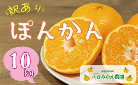 【 訳あり 】 ぽんかん 10kg 先行予約 <発送期間：1月中旬～無くなり次第終了> 八百みかん農園 の ぽんかん 10000円 家庭用 10kg 先行 事前 予約 受付 みかん 数量限定 愛南町