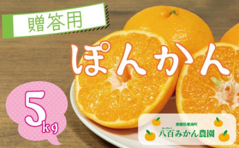 【 贈答用 】 ぽんかん 5kg 先行予約 <発送期間：1月中旬～無くなり次第終了> 八百みかん農園 の ぽんかん 8000円 防腐剤不使用 限定 家庭用 5kg 先行 事前 予約 受付 みかん 愛南