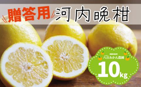 【 贈答用 】 河内晩柑 10kg 先行予約 <発送期間：4月上旬～無くなり次第終了> 八百みかん農園 の かわちばんかん 15000円  家庭用 先行 事前 予約 受付 みかん 数量限定 人気 愛南