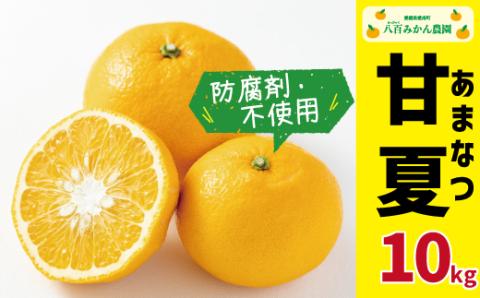 【 先行予約 】 完熟 甘夏 10kg <発送期間：4月下旬～無くなり次第終了> 八百みかん農園 の 完熟 甘夏 10000円 家庭用 訳あり 贈答 先行 事前 予約 受付 ギフト みかん あまなつ