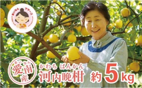 【 先行予約 】 あいなんマザーズ の 河内晩柑 5kg <発送期間：4月中旬～7月上旬> 贈答用 5kg 正品 減農薬 先行 事前 予約 受付 みかん 河内晩柑 かわちばんかん 愛南ゴールド 文旦