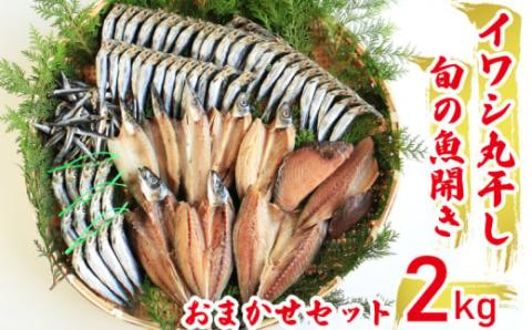 【訳あり】魚の丸干し＆開き おまかせセット2kg 魚 海鮮 干物 ひもの 丸干し 切り身 おつまみ おかず 人気 珍味 グルメ 規格外 国産 武久海産 愛媛 愛南