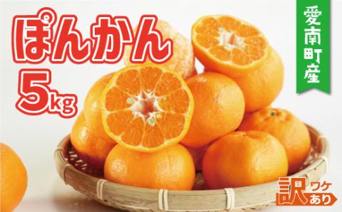 訳あり 家庭用 ぽんかん 5kg サイズ混合 7000円 みかん ポンカン ミカン mikan 国産 期間限定 数量限定 特産品 ジュース 人気 限定 愛南  新鮮 果実 さわやか 風味 甘い フルーツ 果物 柑橘 蜜柑 糖度 産地直送 農家直送 サイズミックス 果樹園 ミッチーのおみかん畑 愛南町 愛媛県