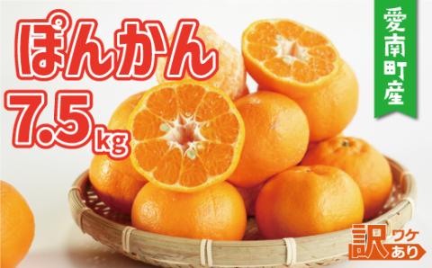 訳あり 家庭用 ぽんかん 7.5kg サイズ混合 10000円 みかん ポンカン ミカン mikan 国産 期間限定 数量限定 特産品 ジュース 人気 限定 愛南  新鮮 果実 さわやか 風味 甘い フルーツ 果物 柑橘 蜜柑 糖度 産地直送 農家直送 サイズミックス 果樹園 ミッチーのおみかん畑 愛南町 愛媛県
