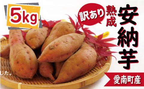 訳あり 熟成 安納芋 5kg サイズ混合 サツマイモ 焼き芋 干し芋 丸干し 冷凍焼き芋 冷やし焼き芋 やきいも 蜜芋 ほしいも スイートポテト さつまいも 愛媛県 愛南町 ミッチーのおみかん畑