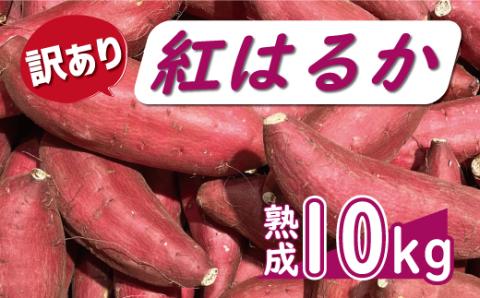 訳あり 熟成 紅はるか 10kg サイズ混合 サツマイモ 焼き芋 干し芋 丸干し 冷凍焼き芋 冷やし焼き芋 やきいも 蜜芋 ほしいも スイートポテト さつまいも 愛媛県 愛南町 ミッチーのおみかん畑