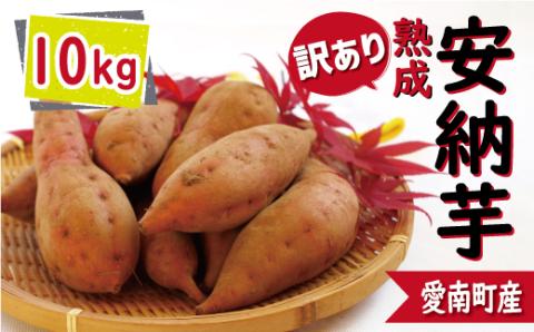 訳あり 熟成 安納芋 10kg サイズ混合 サツマイモ 焼き芋 干し芋 丸干し 冷凍焼き芋 冷やし焼き芋 やきいも 蜜芋 ほしいも スイートポテト さつまいも 愛媛県 愛南町 ミッチーのおみかん畑