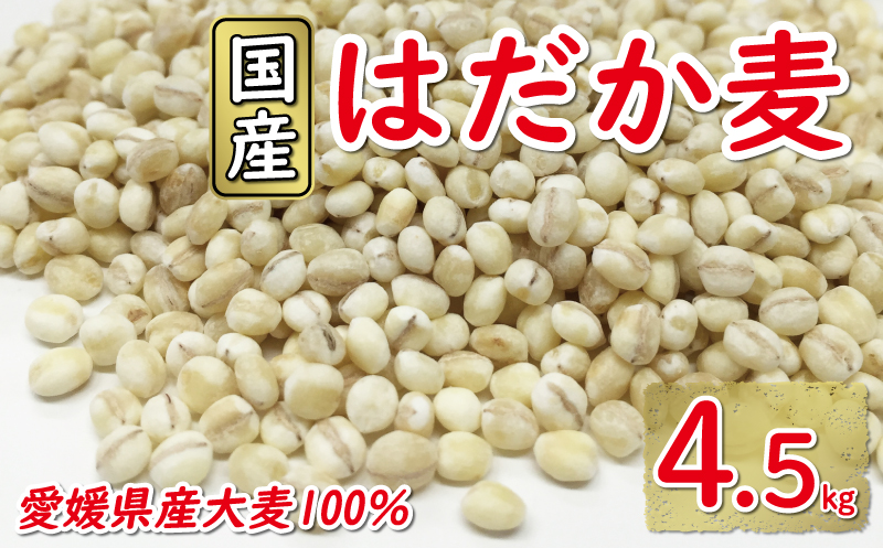 はだか麦 900g 5個セット 10000円 国産 大麦 麦 麦ごはん むぎごはん 水溶性 食物繊維 腸内環境 ダイエット 健康 マルヤス味噌 愛南町 愛媛県
