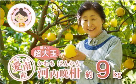 訳あり 河内晩柑 超大玉 9kg 7000円 （発送期間：5月中旬～無くなり次第終了）