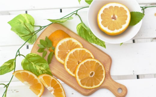 訳あり 紅 河内晩柑 大玉 （ 2L - 5L ） 10kg 7000円