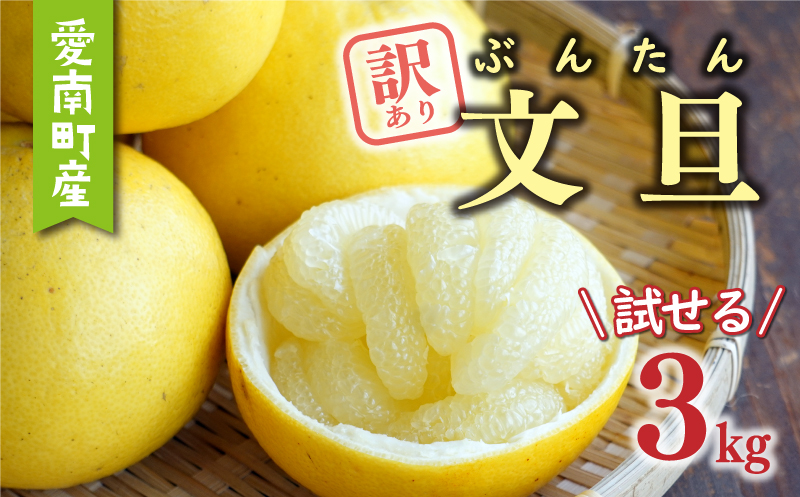 先行予約 訳あり 文旦 3kg （ Lサイズ 以上 ） 5000円