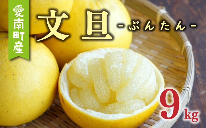 先行予約 文旦 9kg （ Lサイズ 以上 ） 15000円 ぶんたん みかん mikan 蜜柑 ミカン 産地直送 国産 農家直送 糖度 期間限定 数量限定 特産品 ギフト プレゼント ゼリー ジュース アイス 人気 限定 甘い 果実 果肉 フルーツ 果物 柑橘 先行 事前 予約 受付 ビタミン 健康 美味しい おいしい ジューシー サイズ ミックス あいなんマザーズ 愛南町 愛媛県 文旦 みかん 文旦 みかん 文旦 みかん 文旦 みかん 文旦 みかん 文旦 みかん