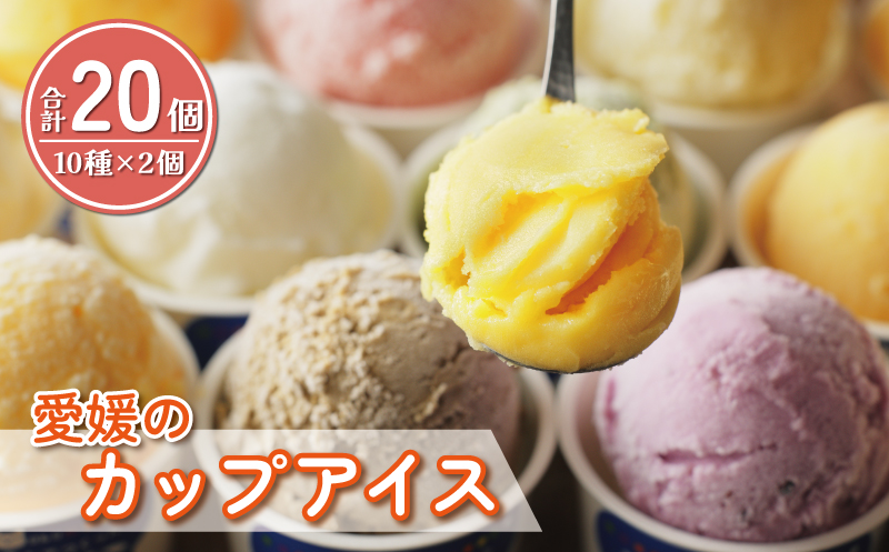 愛媛 の カップ アイス 20個 （ 10種 × 2個 ） 食べ比べ セット 温州 みかん 不知火 ポンカン はるか 美生柑 河内晩柑 紅まどんな 牛乳 いちじく 苺 紅茶 レモン キウイ いちご 久万茶 ブルーベリー 無花果 ぽんかん 愛南ゴールド あいなん ゴールド ジェラート