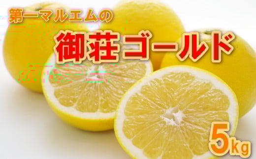 先行予約 御荘ゴールド (河内晩柑) 秀品 5kg  減農薬 柑橘 フルーツ 愛媛みかん ポンカン 文旦 河内晩柑 温州みかん ブラッド オレンジ ネーブル せとか なつみ 蜜柑 みかん 檸檬 果物 果実 ジューシー 数量限定 さっぱり 第一マルエム 愛媛県 愛南町