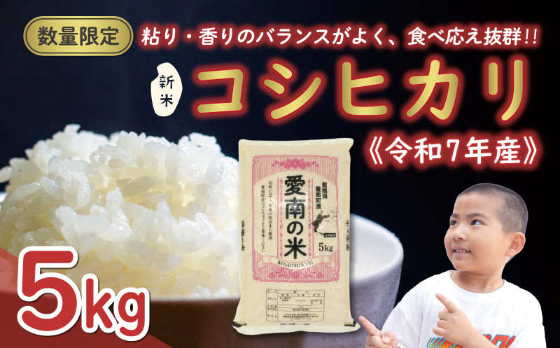 先行予約 新米 令和7年産 コシヒカリ 5kg 13000円 お米 白米 精米 米 こめ 産地直送 国産 農家直送 期間限定 数量限定 特産品 先行 事前 受付 令和7年度産 2025年産 もっちり 粘り 甘み おいしい おにぎり こしひかり 内祝い お祝い 贈答品 お返し プレゼント ギフト 土産 御礼 お礼 お取り寄せ えひめ南農業協同組合 愛南町 愛媛県 5kg