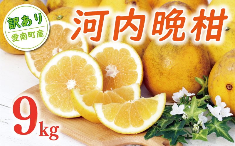 先行予約 訳あり 河内晩柑 樹齢 20年以上 9kg （ サイズおまかせ） 7000円 みかん かわちばんかん 愛南ゴールド あいなん ゴールド 美生柑 文旦 グレープフルーツ 和製 家庭用 産地直送 国産 農家直送 期間限定 数量限定 先行 受付 事前 予約 ビタミン 特産品 ゼリー ジュース 人気 限定 さわやか 甘い フルーツ 果物 柑橘 蜜柑 規格外 くらもとファーム 愛南町 愛媛県 みかん 河内晩柑 みかん 河内晩柑 みかん 河内晩柑 みかん