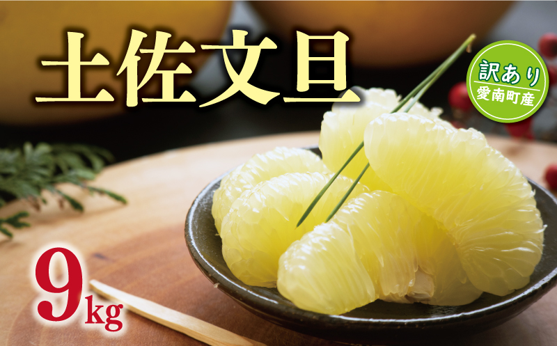 先行予約 訳あり 土佐 文旦 9kg 10000円 ぶんたん みかん mikan 蜜柑 ミカン 土佐文旦 家庭用 産地直送 国産 農家直送 糖度 期間限定 数量限定 特産品 ゼリー ジュース アイス 人気 限定 甘い 果実 果肉 フルーツ 果物 柑橘 先行 事前 予約 受付 ビタミン 健康 美味しい おいしい ジューシー サイズ ミックス くらもとファーム 愛南町 愛媛県 みかん みかん みかん みかん みかん みかん みかん みかん みかん みかん みかん