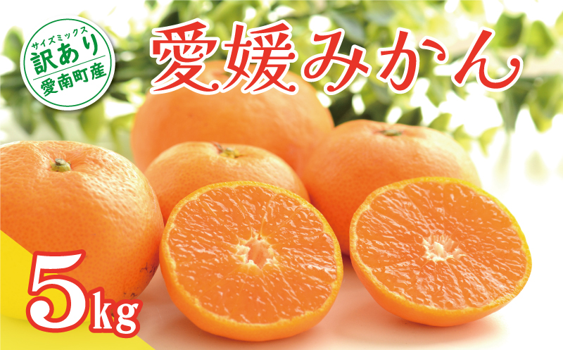 先行予約 訳あり 愛媛みかん 5kg 7000円 温州みかん こたつ みかん 温州 みかん mikan 蜜柑 愛媛 ミカン 完熟 家庭用 産地直送 国産 農家直送 糖度 期間限定 数量限定 特産品 ゼリー ジュース アイス 人気 限定 甘い 果実 果肉 フルーツ 果物 柑橘 先行 事前 予約 受付 ビタミン 健康 美味しい おいしい ジューシー サイズ ミックス くらもとファーム 愛南町 愛媛県 みかん みかん みかん みかん みかん みかん みかん みかん